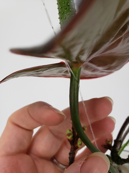 Slip the flower stem through the gap so that it is held upright exactly where you want it to be