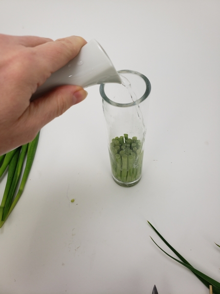 Slowly pour the water into the vase to just start to cover the stem snippets