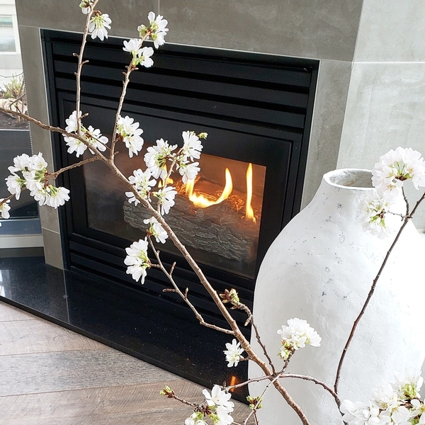 Blossoming twigs inside the apartment