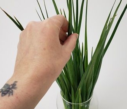 ... and just like that we spiral back to... Spring!