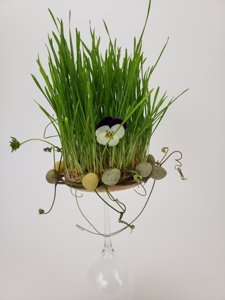 Grow a wheatgrass spring display that is edible