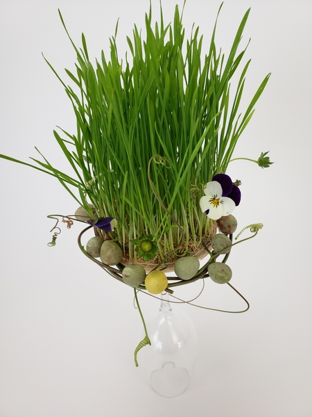 Grow wheatgrass to arrange flowers in