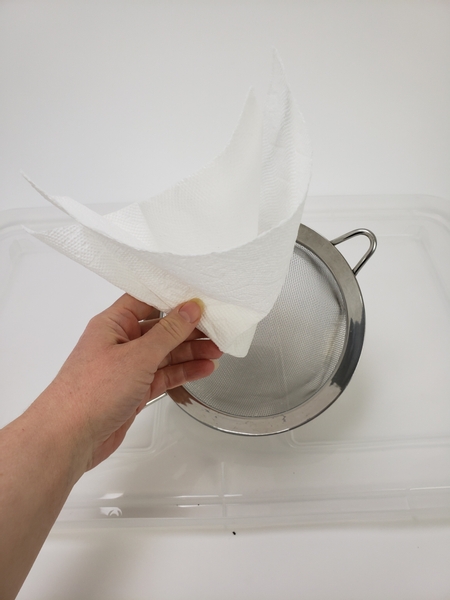 Line a sieve with a few sheets of paper towel.