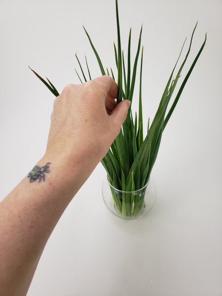 Place a handful of grass or iris leaves into a small container