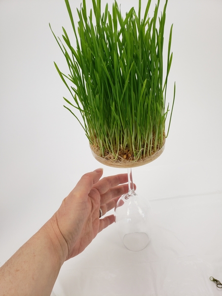 Place the grass on a display container