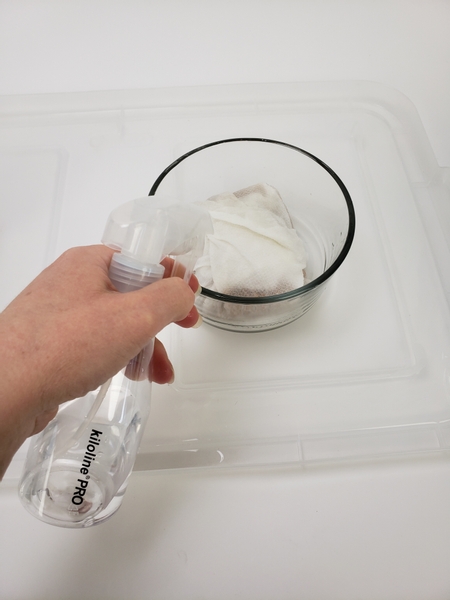 Spray the paper towel pocket filled with seeds with water