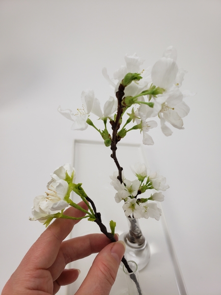 Step by step to make blossoms from paper