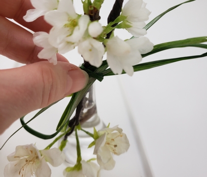 Blossom craving solutions: Forcing and Coaxing and crafting flowering branches