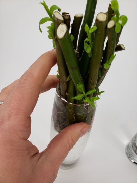 Cup the stems in your hand and place it in the small opening of a bud vase
