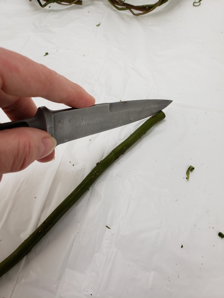 Cut the willow stems with a sharp knife to strip away the bark