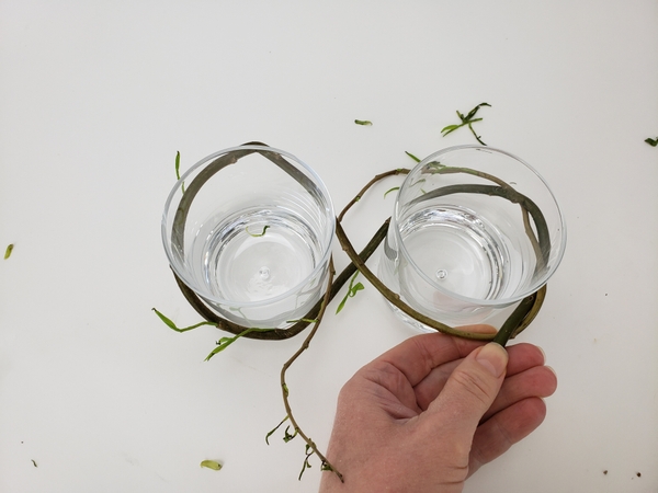 Extending the willow stem all the way around the second glass