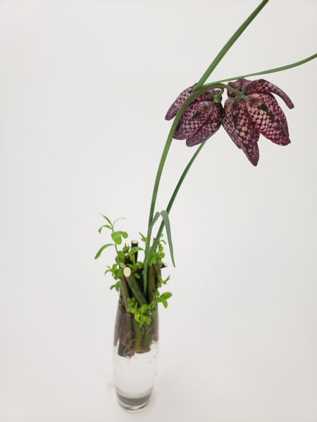 Fritillaria in an easy sustainable and zero waste flower arrangement