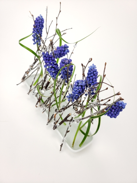 Grape Hyacinths floral art arrangement by Christine de Beer
