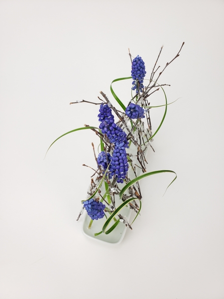 Grape Hyacinths in frosted twig flower arrangement