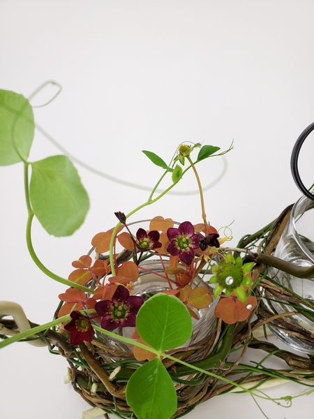 Place tiny flower stems into a glass of water when you cut them from a plant