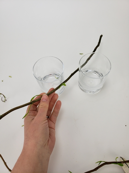 Test the willow stems to make sure they are flexible