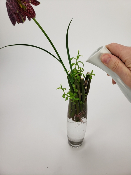 Top up the water in the bud vase