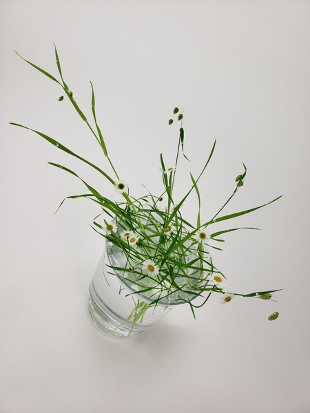 Arranging grasses in glass vases to bring nature inside for a summer arrangement