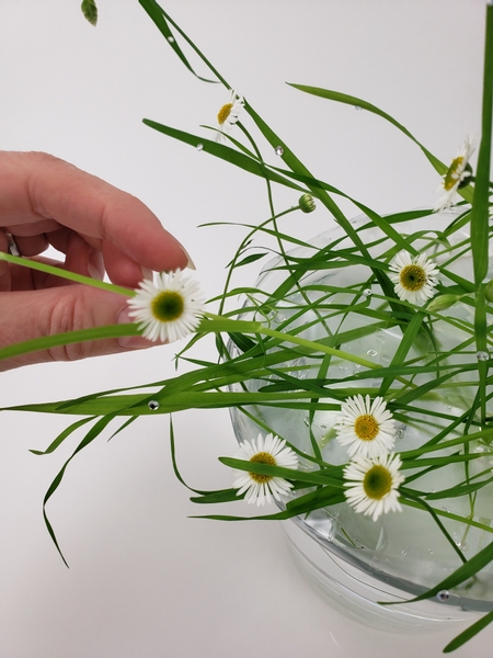 By simply hooking the flower head over the grass with its cut stem in the water below