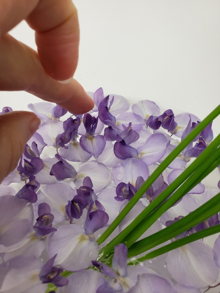 Cover the entire surface with a single layer of Wisteria flowers