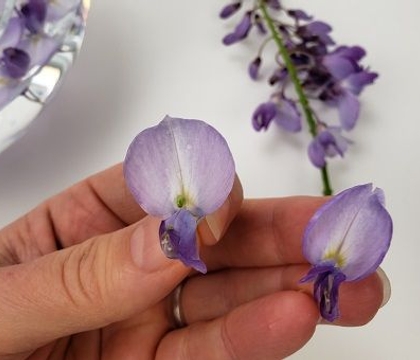 Purple haze… float