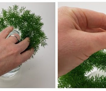 everywhere IS nature