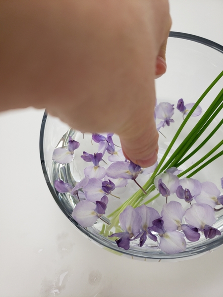 Hold the wisteria so that the keel and wing petals are lightly pinched between your fingers