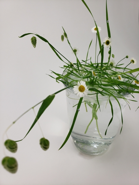 How to design a grass meadow in a glass container arrangement