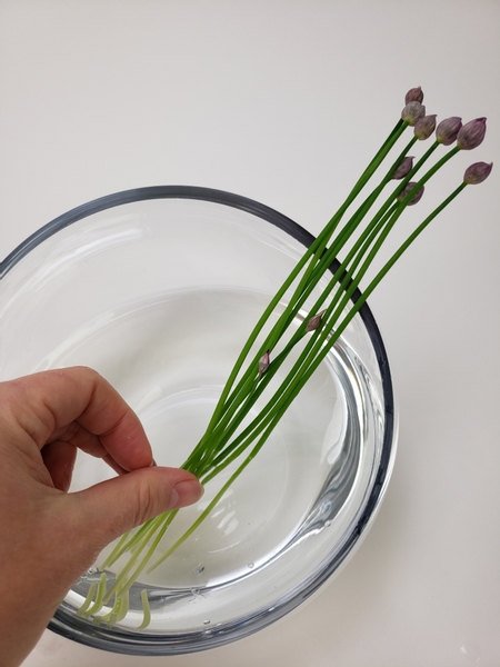 Place the chive scapes at an angle in the container