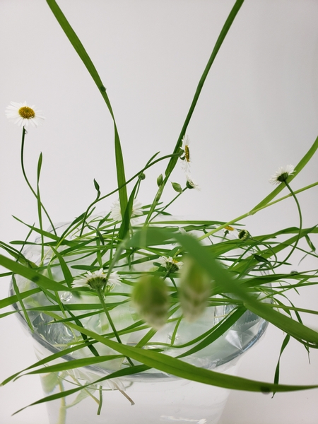 Quaking Grass and erigeron flower arrangement for summer display
