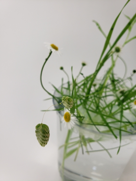 Quaking Grass floral design