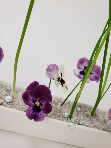 Raspberry violas in a flower arrangement