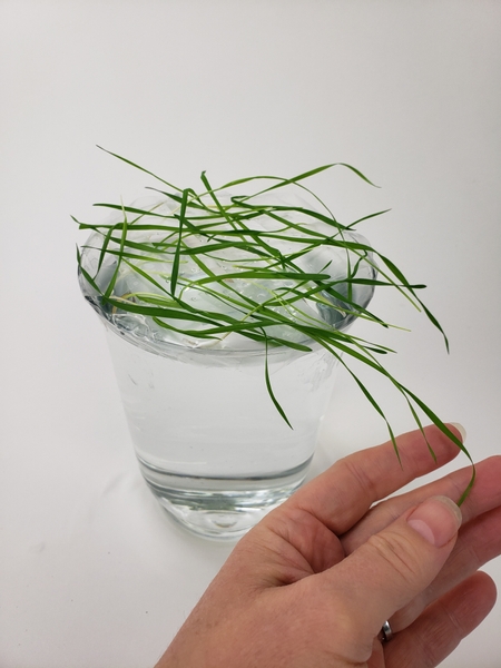 The next layer of grass pokes through the tape so that it remains hydrated and start to create more height