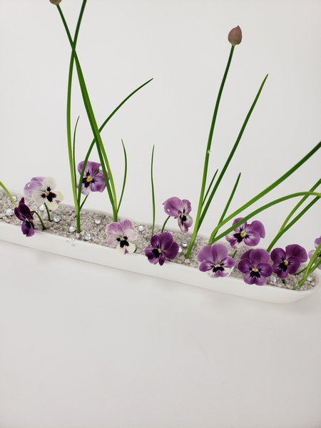 Violas and chives in a Eco friendly spring design