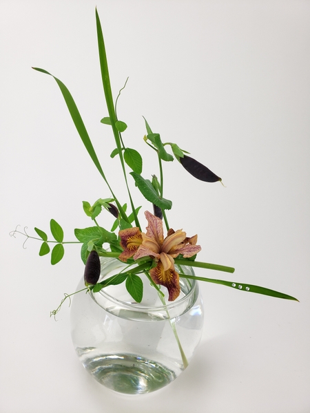 Be excited flower arrangement by Christine de Beer
