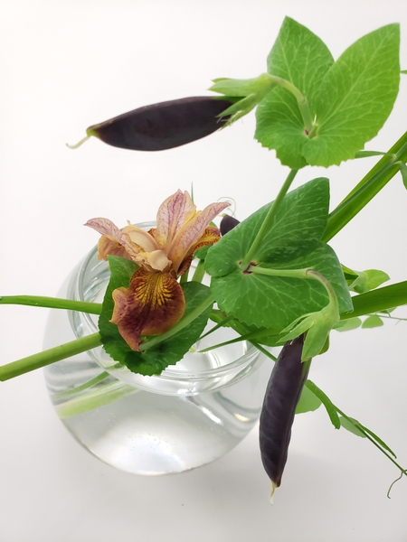 Beautiful iris in a minimal floral design