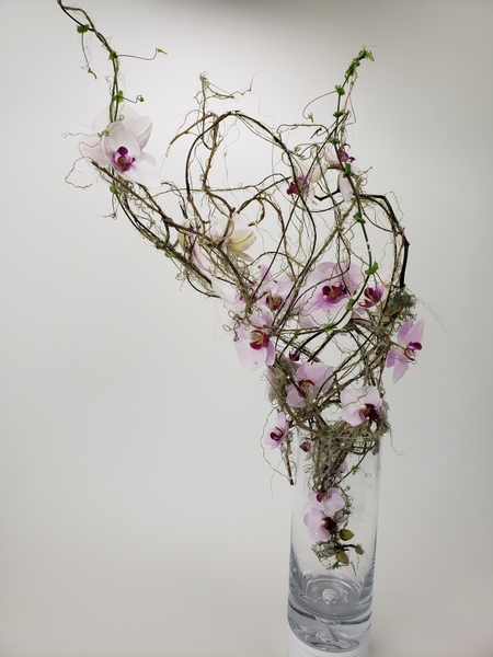 Floral Hurricane from ripped grass and dried vines
