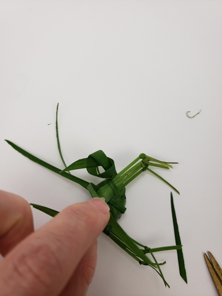 Fold the middle section of the dangling split grass back over the crab shell to separate the left over two