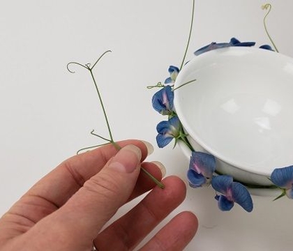 Because I am beautiful!