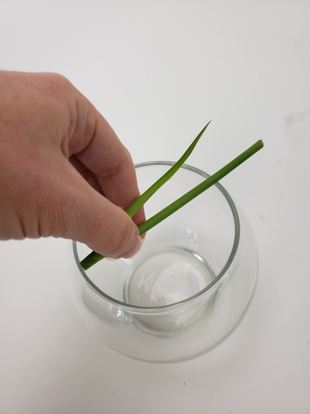 Measure your iris stem to fit tightly in a small container