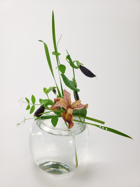 Sustainable flower arranging tutorials for creative designers