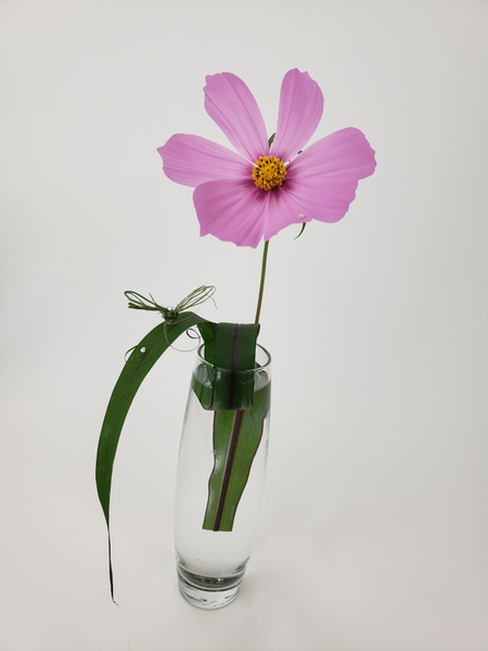 Adding interest to a single flower in a bud vase