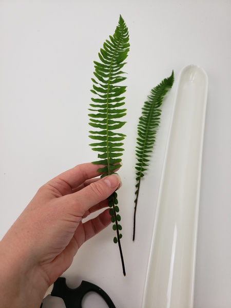 Cut two fern blades to create the floral support