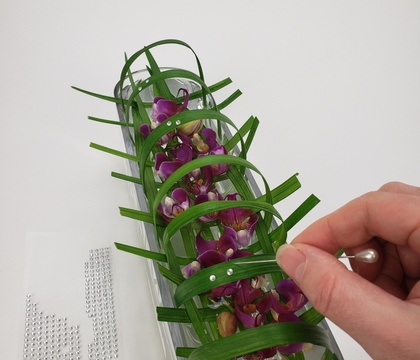 A woven grass grid cage for flying Column and Augmented petal Phalaenopsis orchids