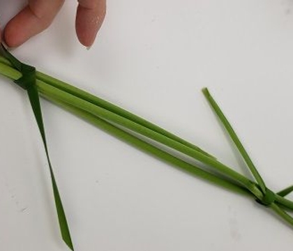 The Wiggle Is Part Of The Plan