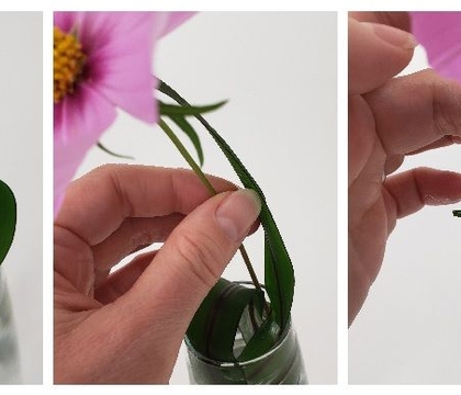 … And his little flower