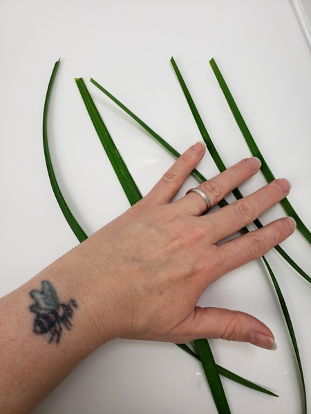 Place a few blades of weaving grass on a flat working surface