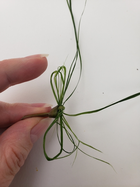 Tie the ripped grass into a bow leaving the two strands that you kept out dangling loose