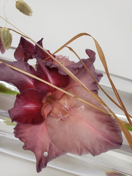 How to arrange Earl grey gladiolus flowers in a no foam design