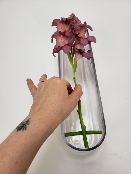 Measure out a gladiolus stem so that it rest on the support.